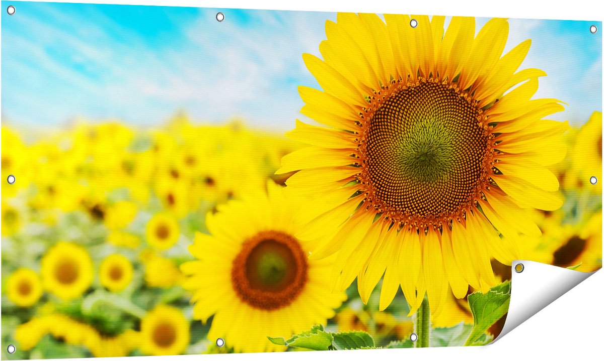 Gards Tuinposter Zonnebloemen Veld - 140x70 cm - Tuindoek - Tuindecoratie - Wanddecoratie buiten - Tuinschilderij Multikleur