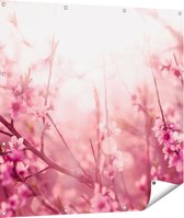 Gards Tuinposter Roze Bloesemboom met Zonneschijn - 110x110 cm - Tuindoek - Tuindecoratie - Wanddecoratie buiten - Tuinschilderij