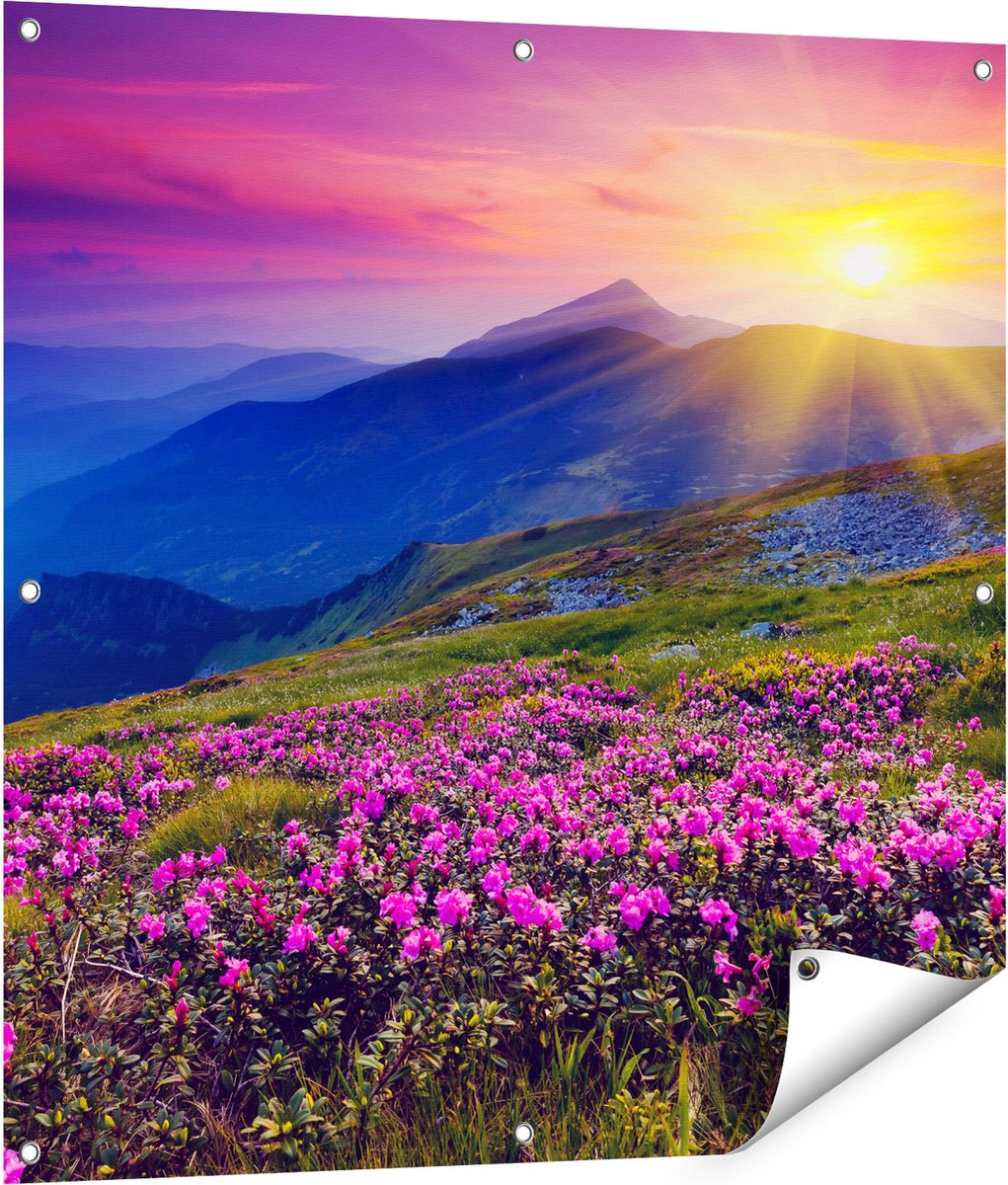 Gards Tuinposter Roze Rhododendron Bloemenveld - Bergen - 90x90 cm - Tuindoek - Tuindecoratie - Wanddecoratie buiten - Tuinschilderij Multikleur