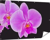 Gards Tuinposter Licht Paarse Orchidee - Bloem - 150x100 cm - Tuindoek - Tuindecoratie - Wanddecoratie buiten - Tuinschilderij