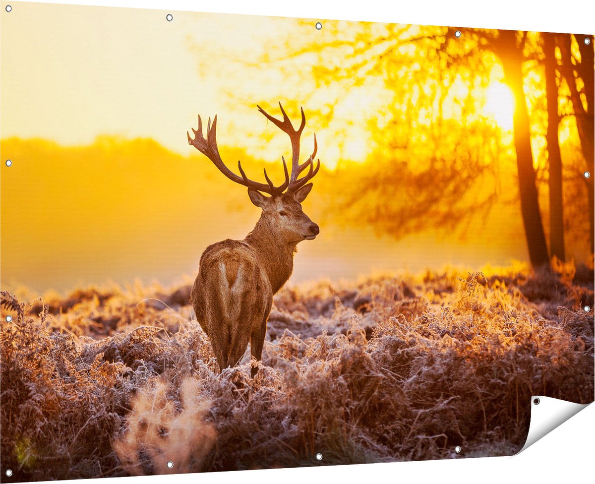 Gards Tuinposter Hert in Bos tijdens de Zonsopkomst - 180x120 cm - Tuindoek - Tuindecoratie - Wanddecoratie buiten - Tuinschilderij Multikleur