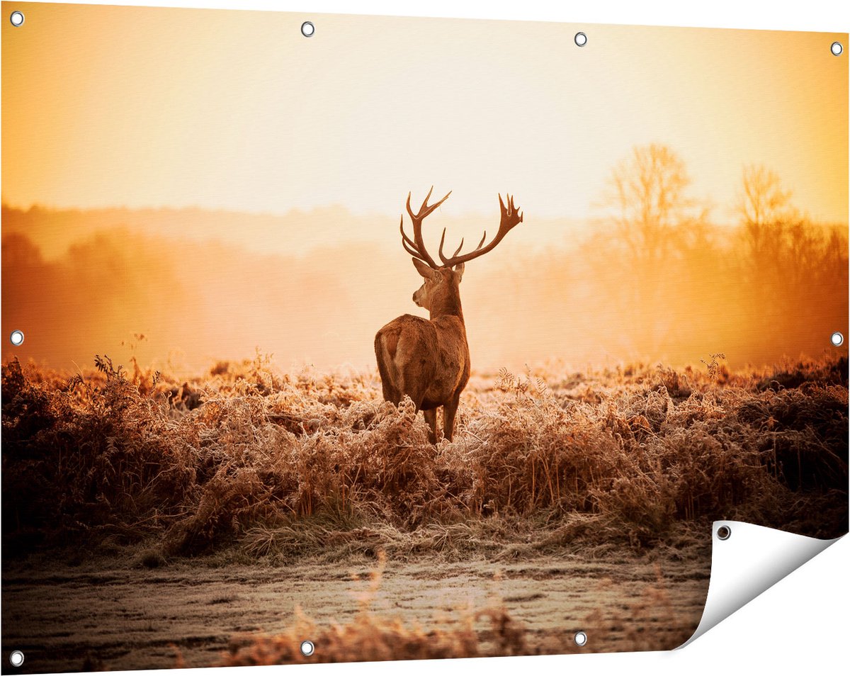 Gards Tuinposter Hert in de Wei tijdens de Zonsopkomst - 120x80 cm - Tuindoek - Tuindecoratie - Wanddecoratie buiten - Tuinschilderij Multikleur