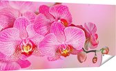 Gards Tuinposter Roze Orchidee Bloemen - 180x90 cm - Tuindoek - Tuindecoratie - Wanddecoratie buiten - Tuinschilderij