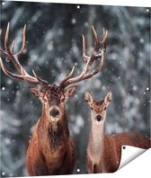 Gards Tuinposter Twee Herten met Sneeuw - 100x100 cm - Tuindoek - Tuindecoratie - Wanddecoratie buiten - Tuinschilderij