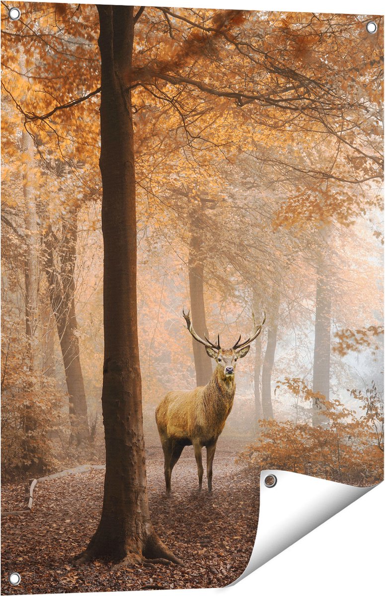 Gards Tuinposter Hert in het Bos - Herfst - 60x80 cm - Tuindoek - Tuindecoratie - Wanddecoratie buiten - Tuinschilderij Multikleur