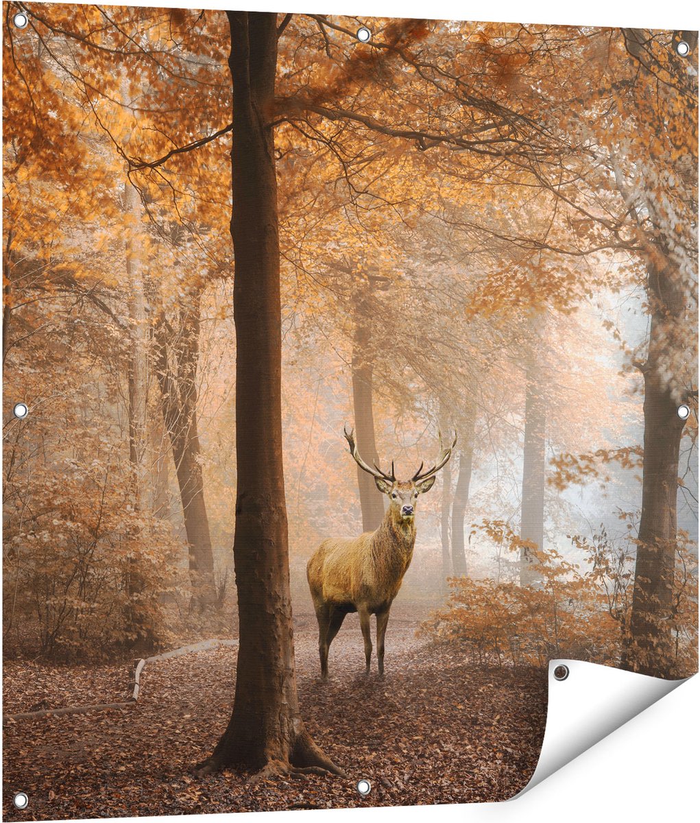 Gards Tuinposter Hert in het Bos - Herfst - 90x90 cm - Tuindoek - Tuindecoratie - Wanddecoratie buiten - Tuinschilderij Multikleur