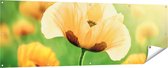 Gards Tuinposter Oranje Klaproos Bloemen - 180x60 cm - Tuindoek - Tuindecoratie - Wanddecoratie buiten - Tuinschilderij