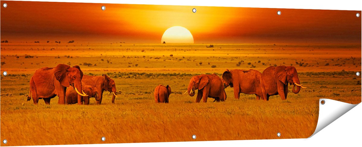 Gards Tuinposter Olifanten in het Wild - Zonsondergang - 180x60 cm - Tuindoek - Tuindecoratie - Wanddecoratie buiten - Tuinschilderij Multikleur