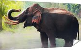 Gards Tuinposter Olifant in het Water - 200x100 cm - Tuindoek - Tuindecoratie - Wanddecoratie buiten - Tuinschilderij