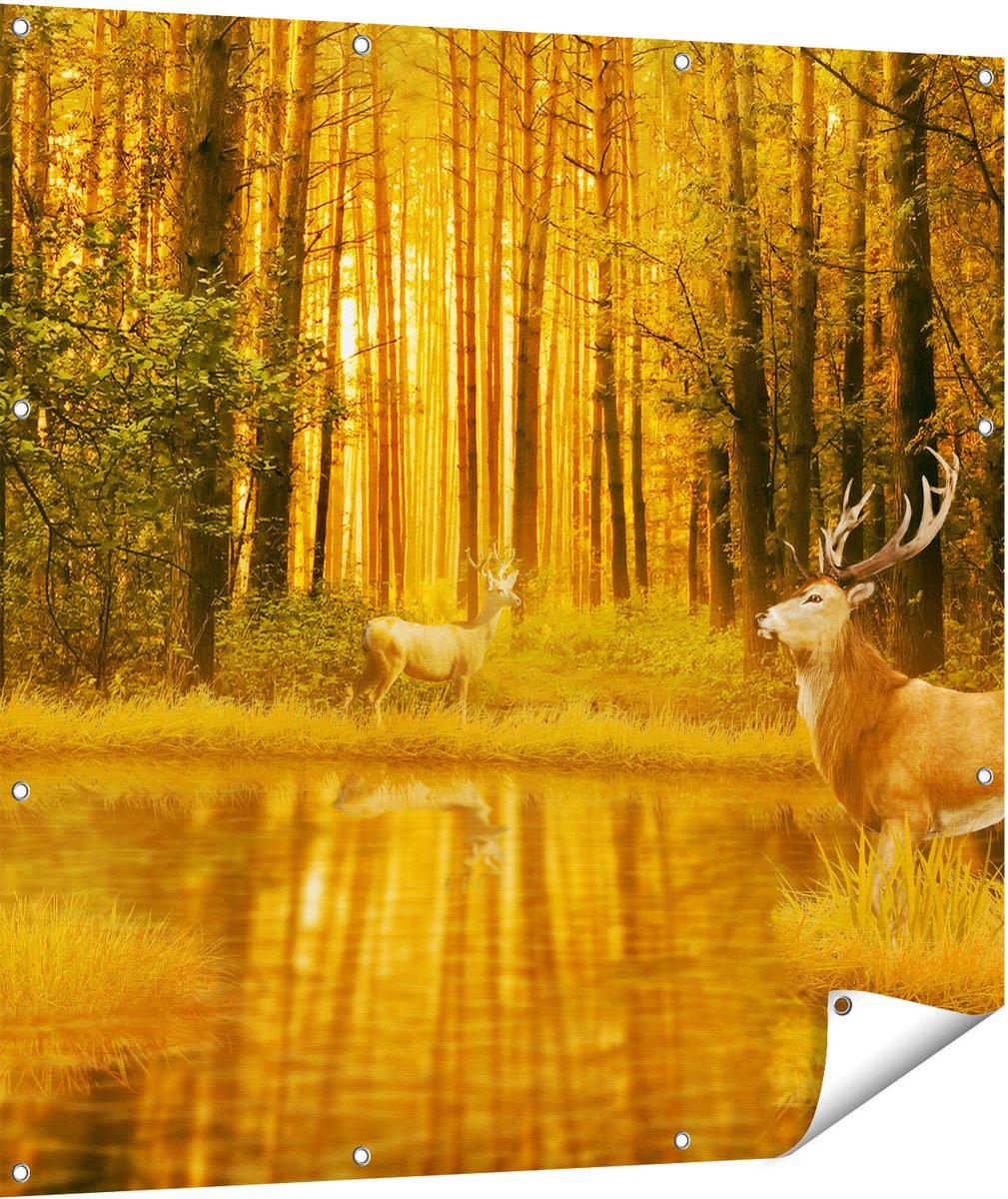 Gards Tuinposter Twee Herten in het Bos bij het Water - 110x110 cm - Tuindoek - Tuindecoratie - Wanddecoratie buiten - Tuinschilderij Multikleur