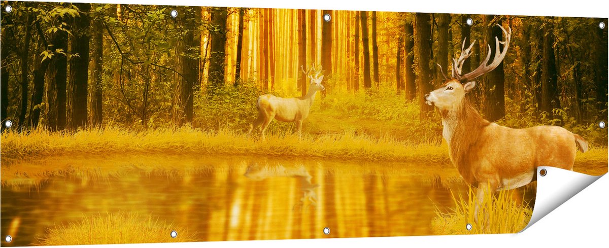 Gards Tuinposter Twee Herten in het Bos bij het Water - 180x60 cm - Tuindoek - Tuindecoratie - Wanddecoratie buiten - Tuinschilderij Multikleur