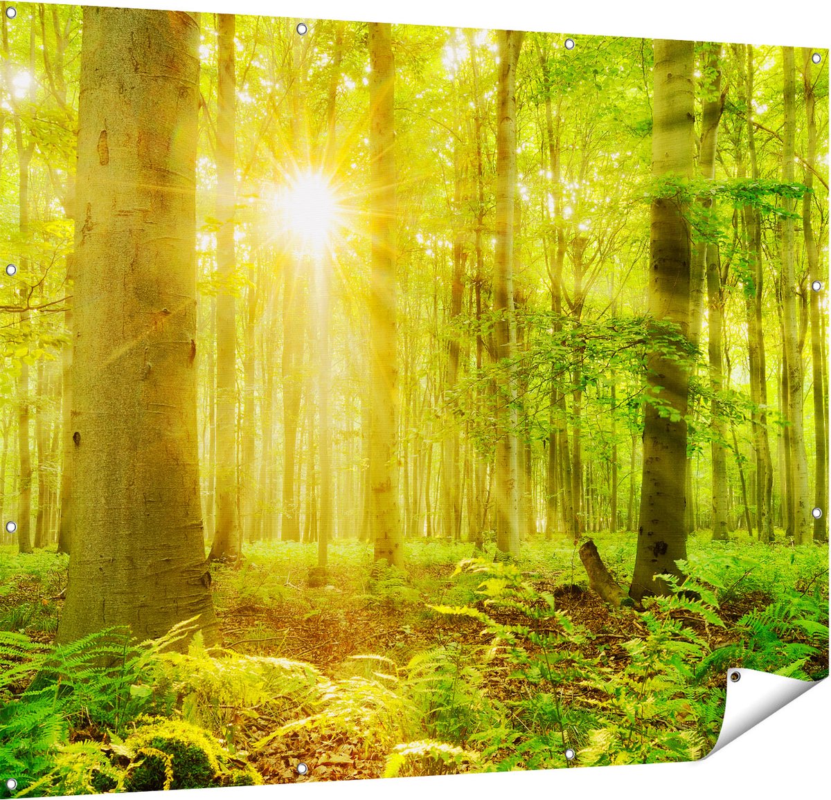 Gards Tuinposter Groen Bos met Schijnende Zonnestralen - 150x120 cm - Tuindoek - Tuindecoratie - Wanddecoratie buiten - Tuinschilderij Multikleur