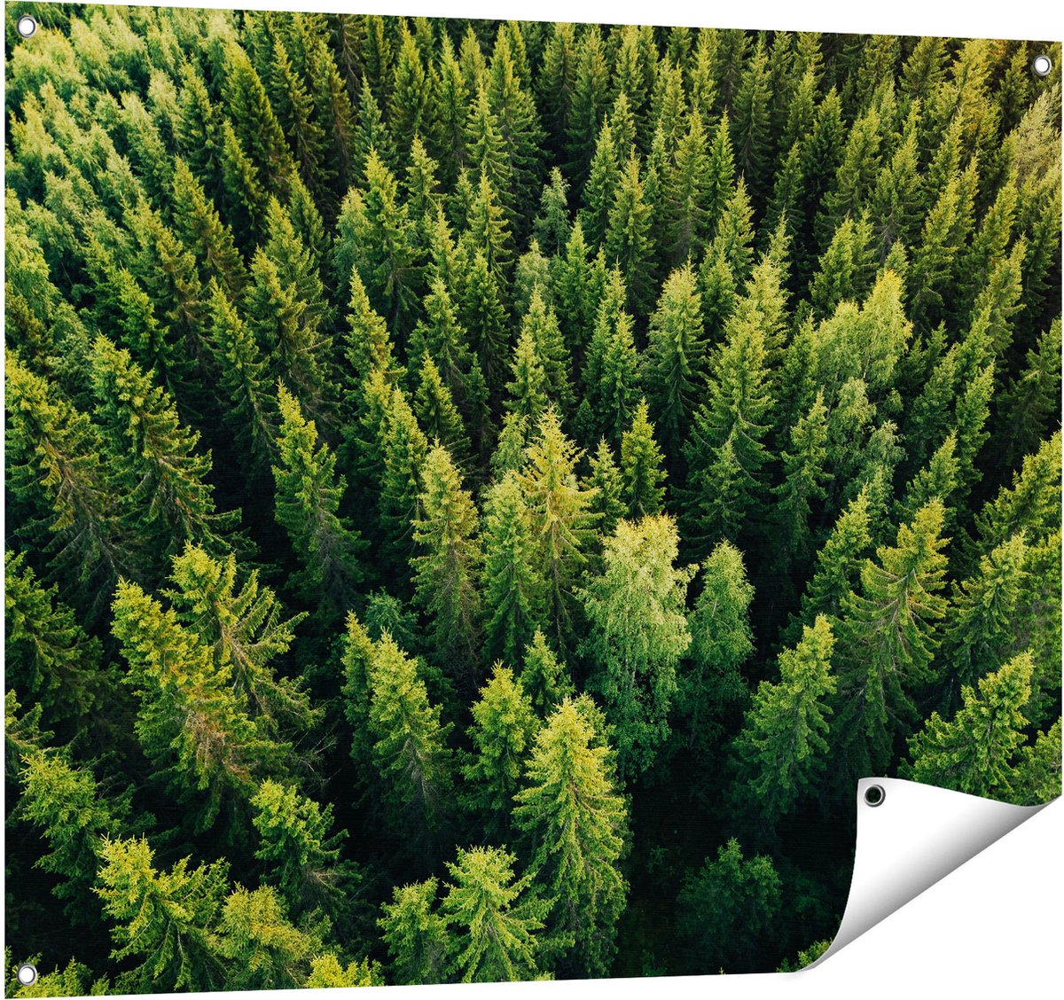 Gards Tuinposter Bos met Bomen vanaf Boven - 100x80 cm - Tuindoek - Tuindecoratie - Wanddecoratie buiten - Tuinschilderij Multikleur