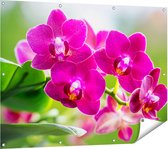 Gards Tuinposter Roze Orchidee Bloemen - 120x90 cm - Tuindoek - Tuindecoratie - Wanddecoratie buiten - Tuinschilderij