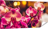 Gards Tuinposter Roze Orchidee Bloemen - 160x80 cm - Tuindoek - Tuindecoratie - Wanddecoratie buiten - Tuinschilderij