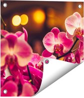 Gards Tuinposter Roze Orchidee Bloemen - 40x40 cm - Tuindoek - Tuindecoratie - Wanddecoratie buiten - Tuinschilderij