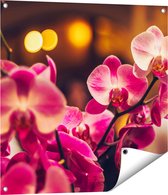 Gards Tuinposter Roze Orchidee Bloemen - 70x70 cm - Tuindoek - Tuindecoratie - Wanddecoratie buiten - Tuinschilderij