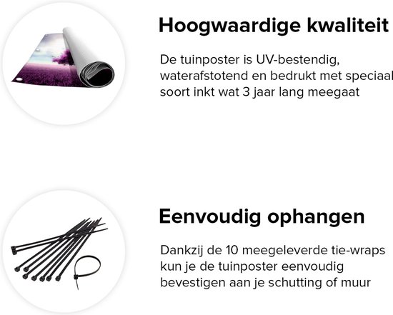 Gards Poster de jardin Arbre violet dans le champ violet avec Vogels - 210x70 cm - Toile de jardin - Décoration de jardin - Décoration murale extérieure - Tableau de jardin