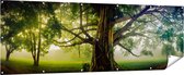 Gards Tuinposter Grote Levensboom met Veel Takken - 210x70 cm - Tuindoek - Tuindecoratie - Wanddecoratie buiten - Tuinschilderij