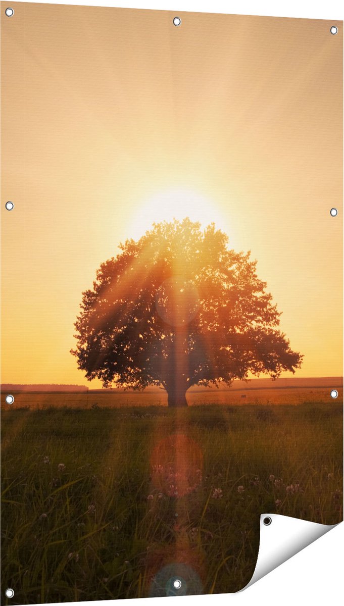 Gards Tuinposter Zonsondergang Achter een Grote Boom - 80x120 cm - Tuindoek - Tuindecoratie - Wanddecoratie buiten - Tuinschilderij Multikleur