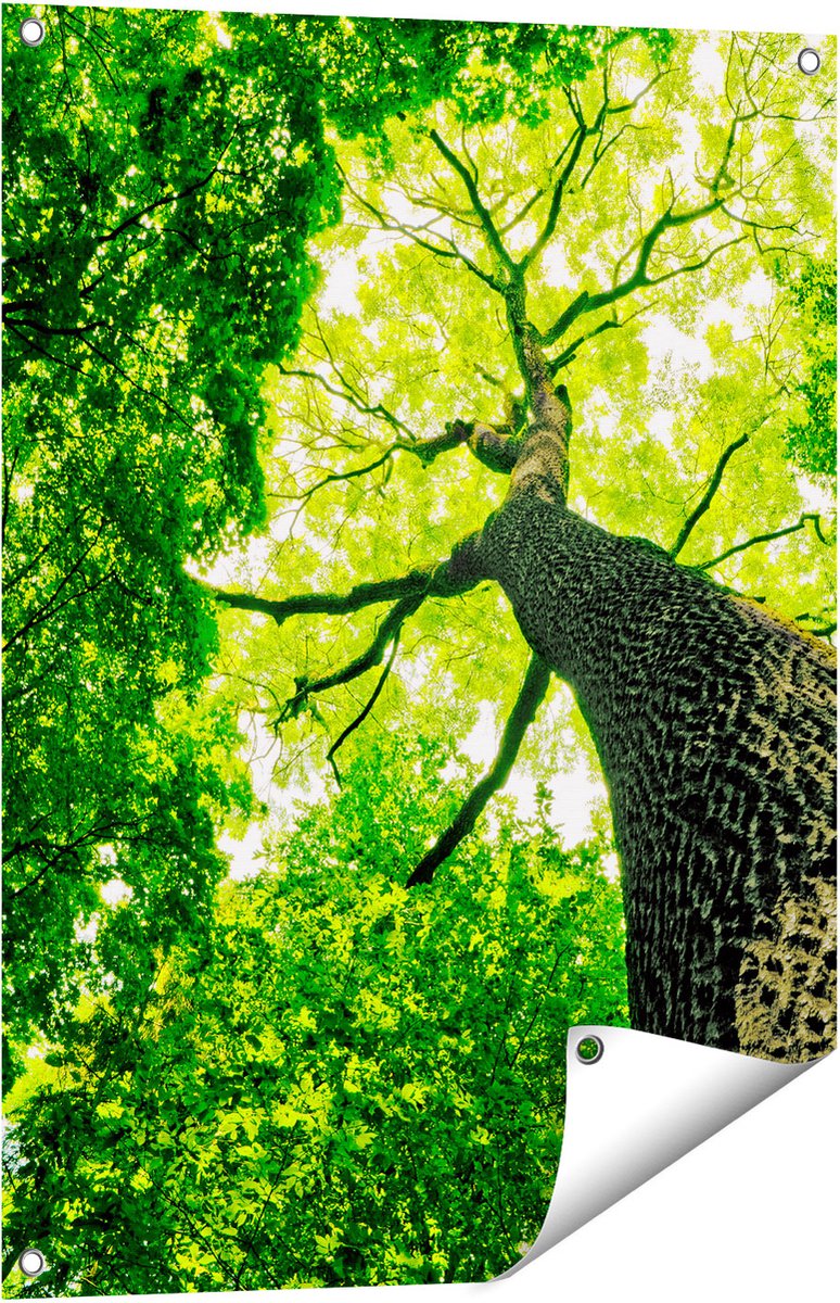 Gards Tuinposter Boom in het Bos met Fel Groene Bladeren - 60x80 cm - Tuindoek - Tuindecoratie - Wanddecoratie buiten - Tuinschilderij Multikleur