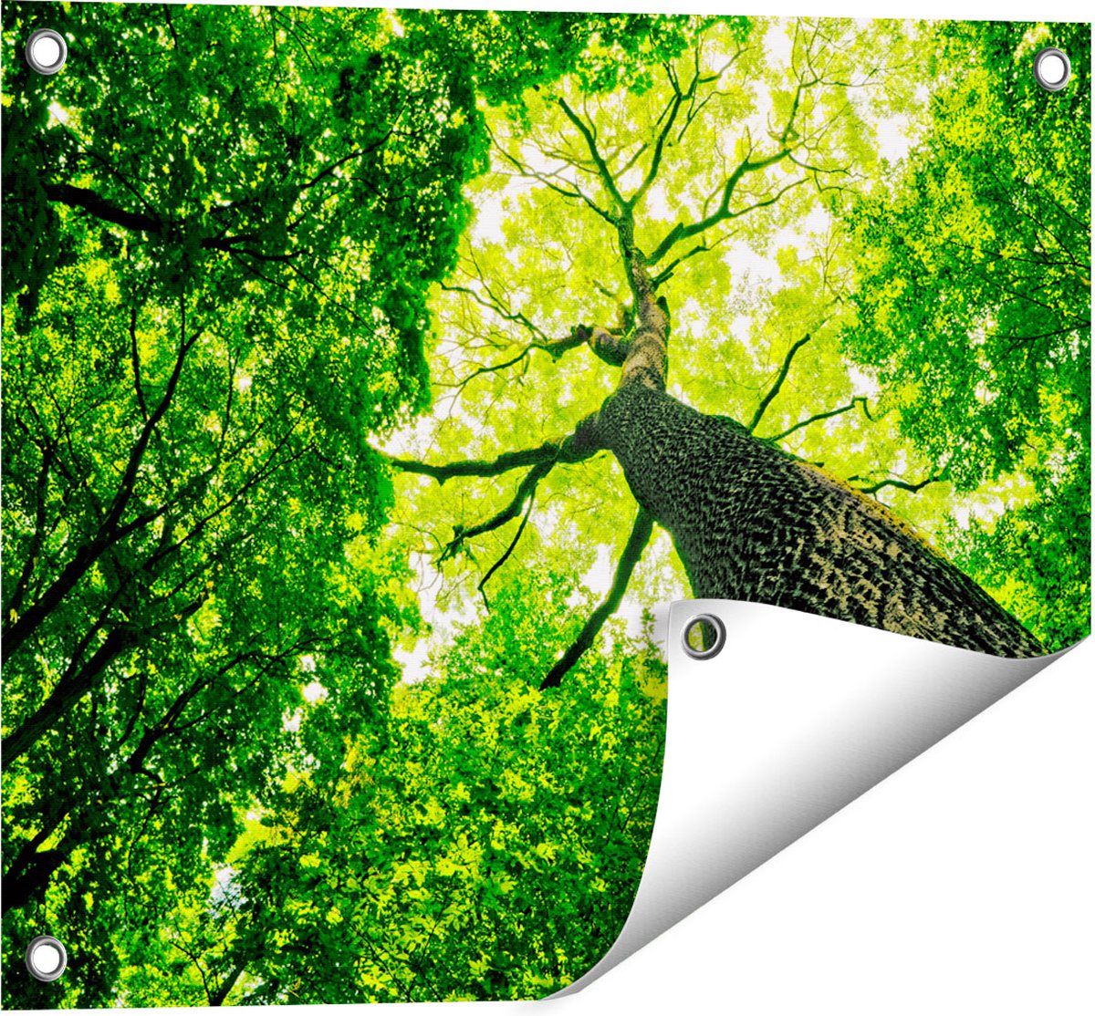 Gards Tuinposter Boom in het Bos met Fel Groene Bladeren - 50x40 cm - Tuindoek - Tuindecoratie - Wanddecoratie buiten - Tuinschilderij Multikleur