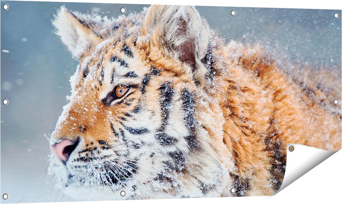 Gards Tuinposter Tijger tijdens de Sneeuw - 120x60 cm - Tuindoek - Tuindecoratie - Wanddecoratie buiten - Tuinschilderij Multikleur