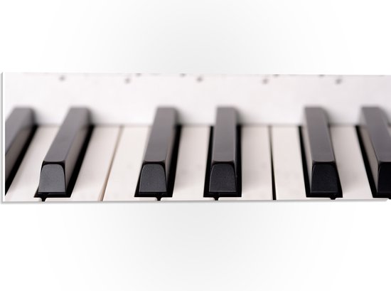 PVC Schuimplaat - Close-up van Notenbladen bij Toetsen van Piano - 60x20 cm Foto op PVC Schuimplaat (Met Ophangsysteem)