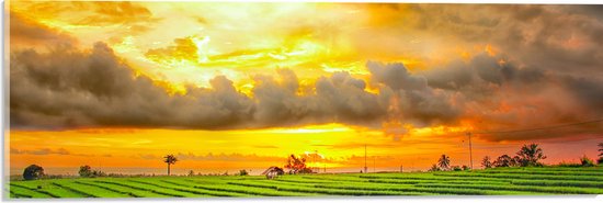 Acrylglas - Feloranje Lucht Vol Wolken boven Rijstvelden van Indonesië - 60x20 cm Foto op Acrylglas (Met Ophangsysteem)