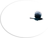 WallClassics - PVC Schuimplaat Ovaal - Zwarte Vogel op Witte Achtergrond - 56x42 cm Foto op Ovaal (Met Ophangsysteem)