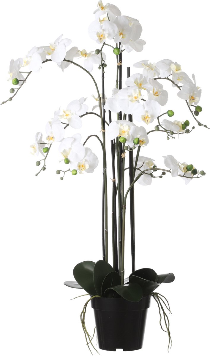 Mica Decorations Orchidee bloem kunstplant - parel wit - H97 x B19 cm