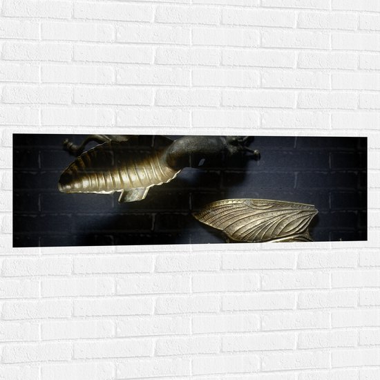 Muursticker - Kapotte Goude Vlieg op Zwarte Achtergornd - 120x40 cm Foto op Muursticker