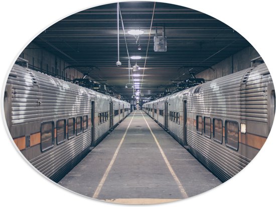 PVC Schuimplaat Ovaal - Trein Station met twee Stilstaande Treinen - 40x30 cm Foto op Ovaal (Met Ophangsysteem)