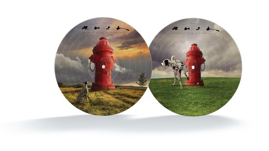 Rush - Signals (LP) (Limited Edition) (Picture Disc) (Remastered)
