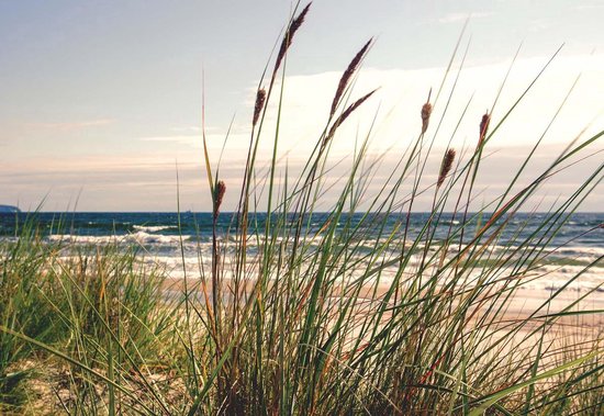 Foto: Fotobehang vlies behang duinen strand zee 312 x 219 cm