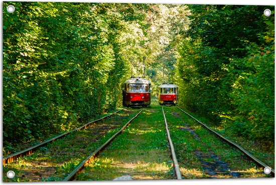 Tuinposter – Twee Rode Trams op Tramrails door Groenrijk Bos - 75x50 cm Foto op Tuinposter (wanddecoratie voor buiten en binnen)