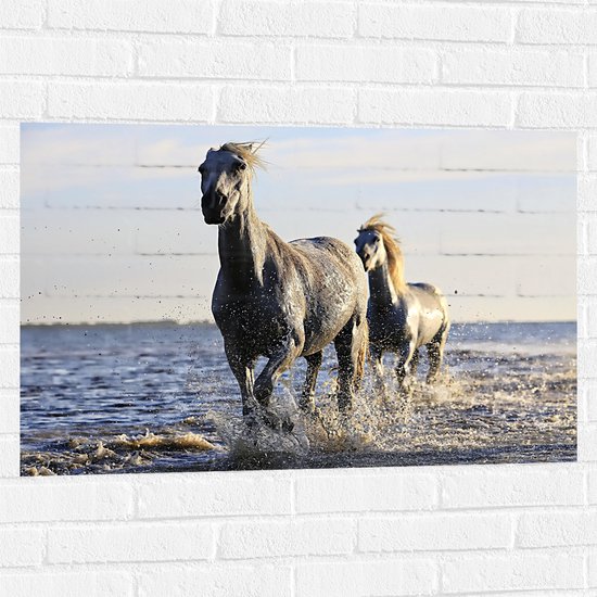 Muursticker - Rennende Paarden door het Lage Zeewater - 90x60 cm Foto op Muursticker