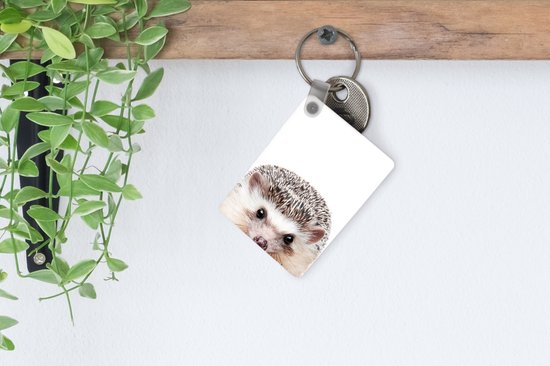 Porte-clés avec une tête de hérisson, à côté d'une plante.