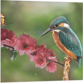 Vlag - IJsvogel en Vlinder op Bloesem Bloemen - 80x80 cm Foto op Polyester Vlag
