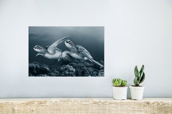 Posters zwart wit - Schildpad - Dieren - Wilde dieren - Koraal - Muurposter - 30x20 cm - Wanddecoratie - Poster