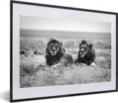 Posters zwart wit - Kader - Leeuw - Dieren - Savanne - Safari - Foto in lijst - 60x40 cm - Poster - Poster frame