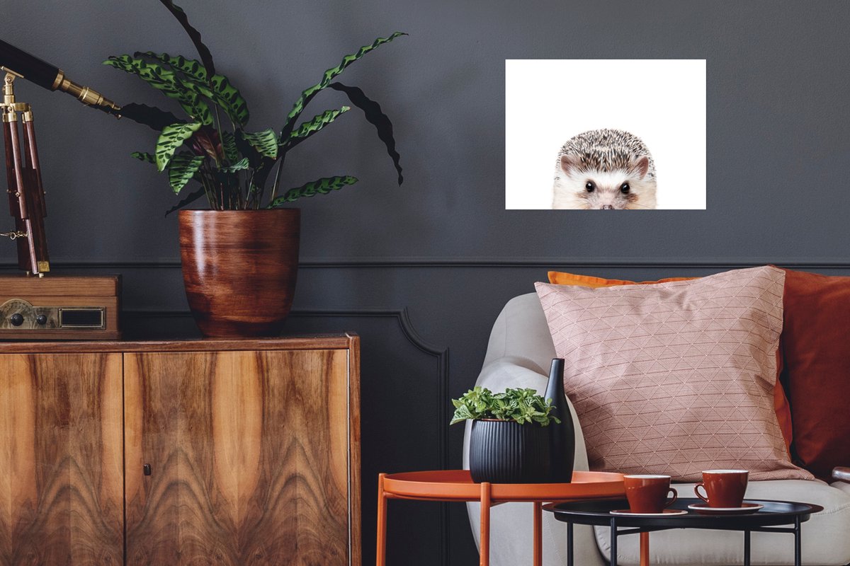 Poster Egel - Dieren - Natuur - Wit - 40x30 cm