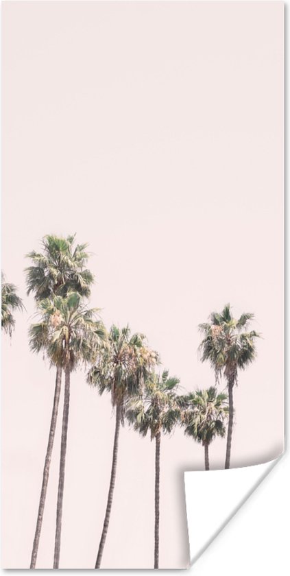 Palmiers - Vert - Nature - Beige