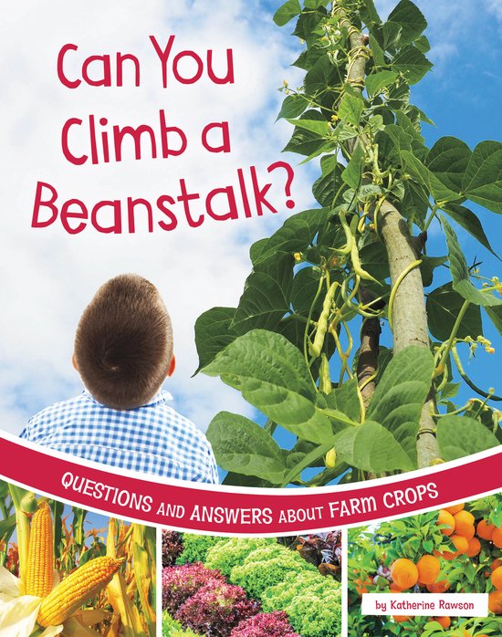 Farm Explorer- Can You Climb A Beanstalk? - cover