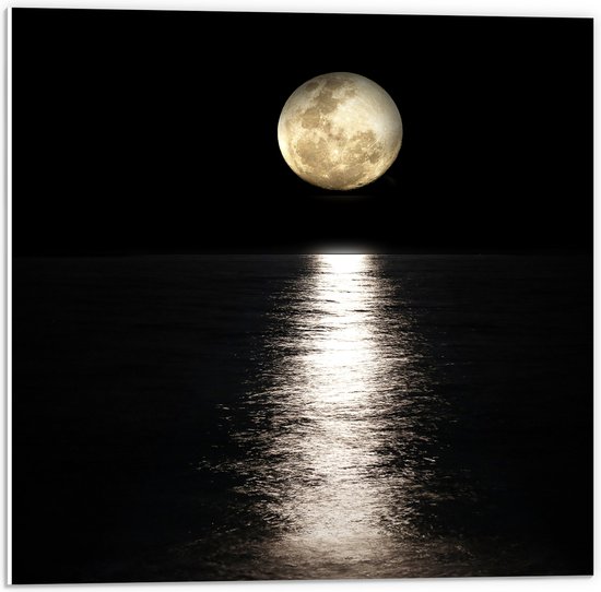 PVC Schuimplaat - Witte Volle Maan boven Donkere Kalme Zee - 50x50 cm Foto op PVC Schuimplaat (Met Ophangsysteem)