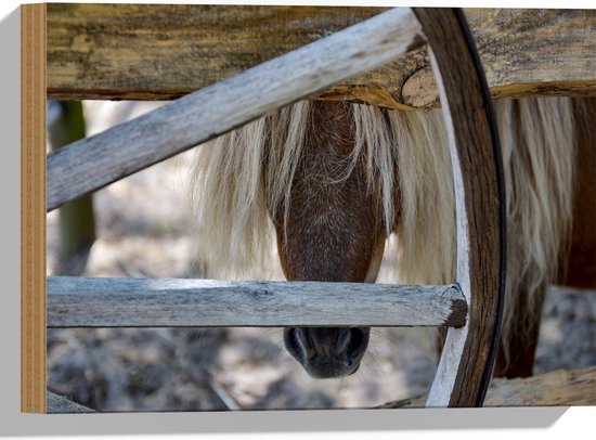 Hout - Neus van Pony door Speilen van Hek - 40x30 cm - 9 mm dik - Foto op Hout (Met Ophangsysteem)