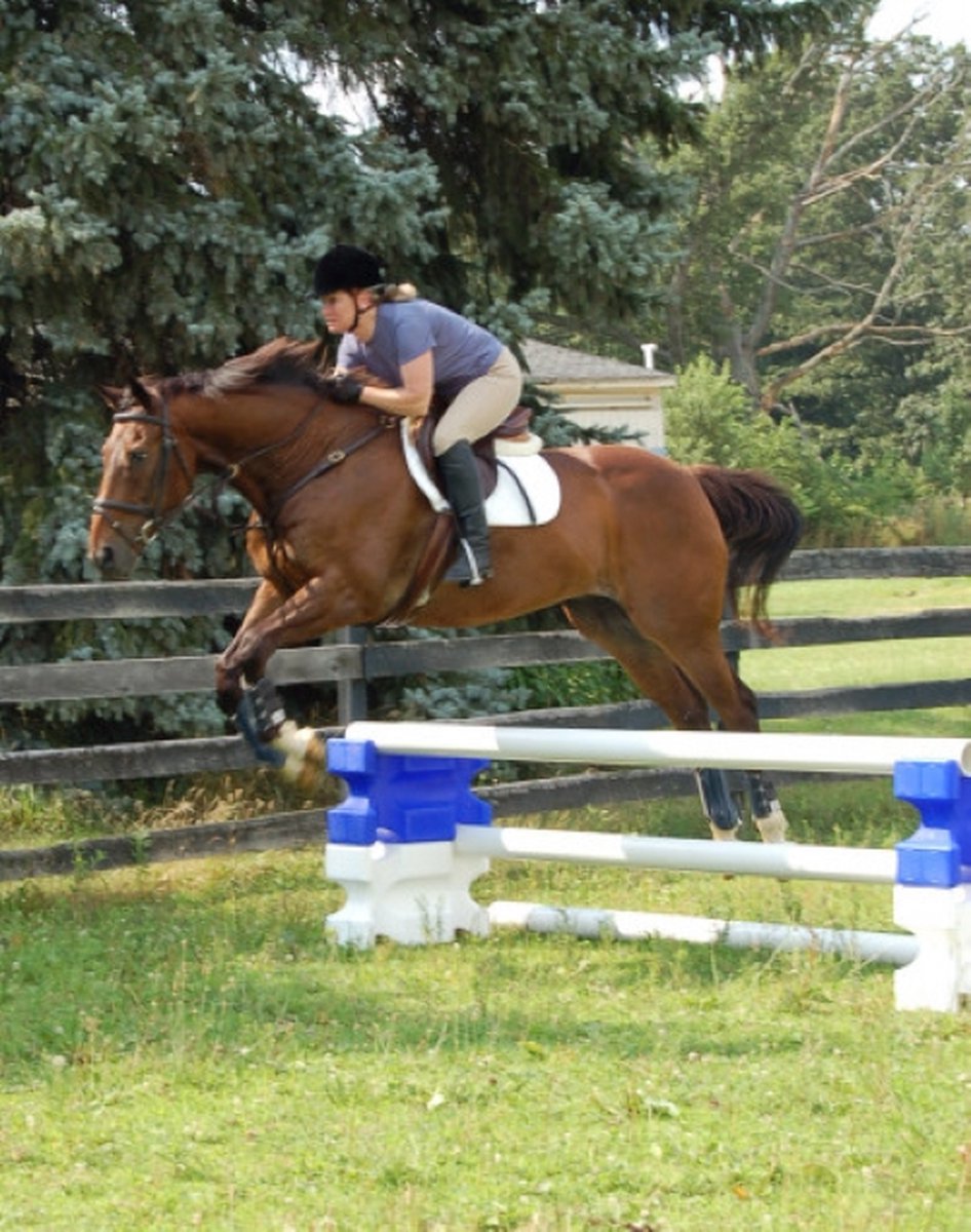 Blocs Cavaletti Vplast - Lot De 2 Obstacles Pour Entraînement équestre, 40x30x15cm, Plastique Bleu Résistant Au Gel