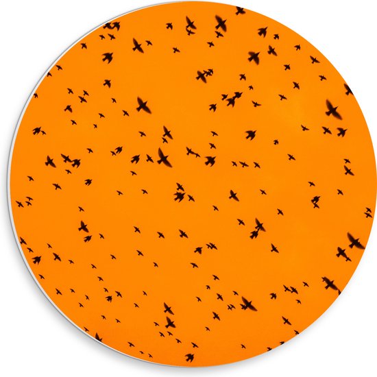 PVC Schuimplaat Muurcirkel - Gele Lucht Vol met Trekkende Vogels - 30x30 cm Foto op Muurcirkel (met ophangsysteem)