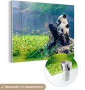 MuchoWow - Glasschilderij - Acrylglas - Panda - Bamboe - Natuur - Muurdecoratie - Schilderij glas - 120x90 cm - Wanddecoratie - Foto op glas
