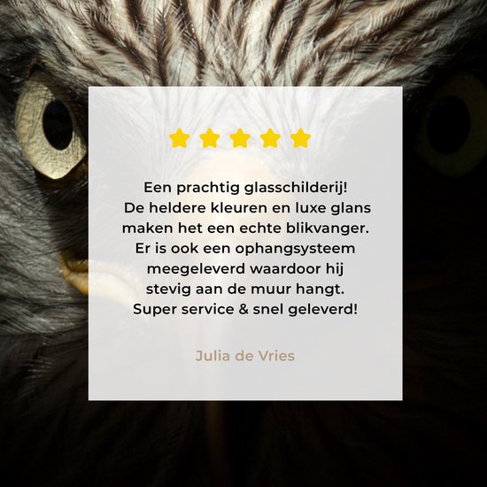 MuchoWow® Peinture sur verre 40x30 cm - Peinture sur verre acrylique - Vogel - Aigle - Rapaces - Oeil - Bec - Lumière - Photo sur verre - Peintures